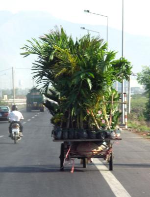 PICT0000-1024 (47).JPG