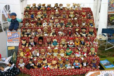 Teddy Bear Collection