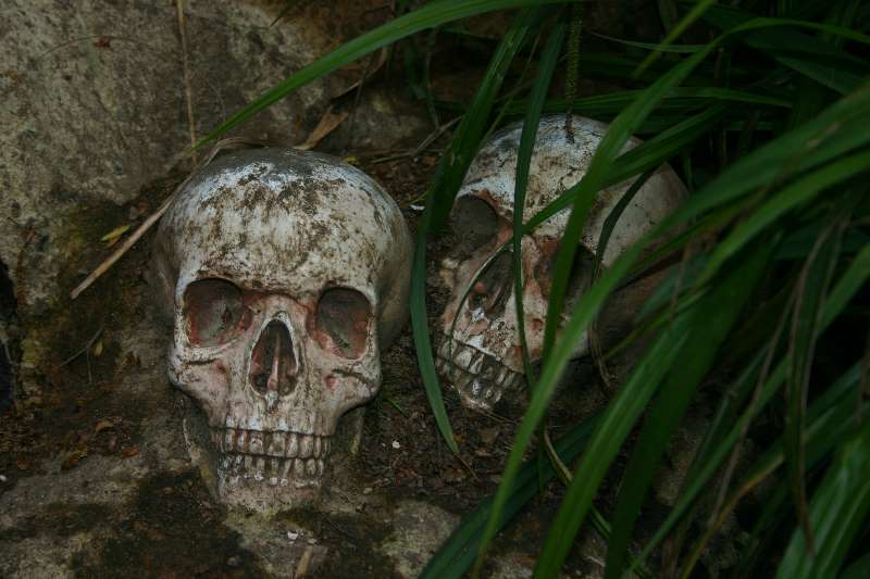 Beware Head-hunters