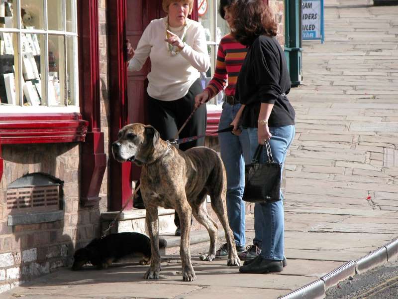 Ironbridge - Women with Big Dog