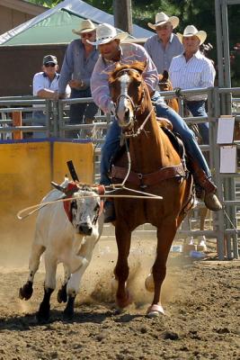 Ramona Rodeo Img 6825