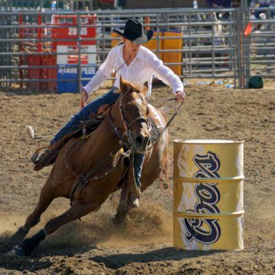 Ramona Rodeo Img 6898