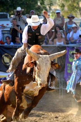 Ramona Rodeo Img 6972