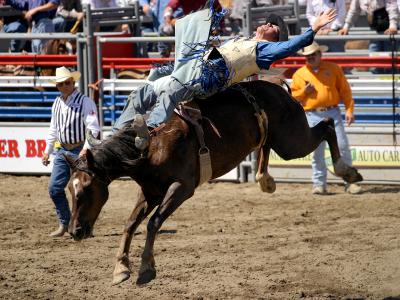 Ramona Rodeo Img 6618