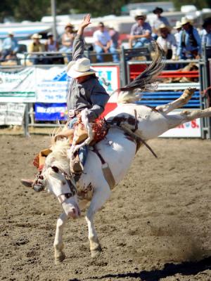 Ramona Rodeo Img 6742