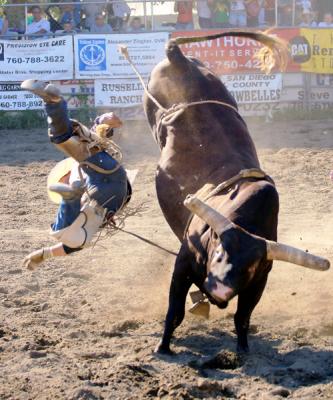 Ramona Rodeo Img 6956