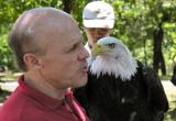 Bald Eagle display