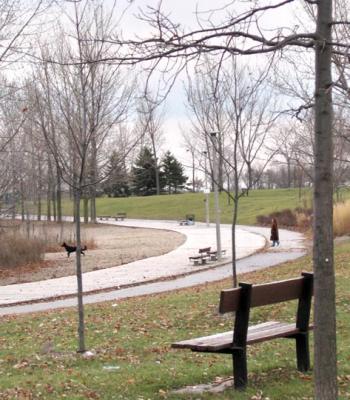 the boardwalk
