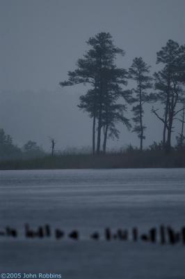 Blackwater NWR