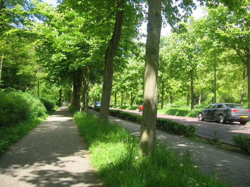 scheveningseweg