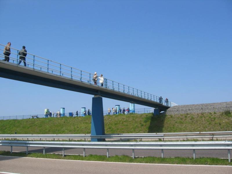 146_4662.JPG