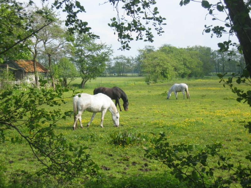 146_4682.JPG