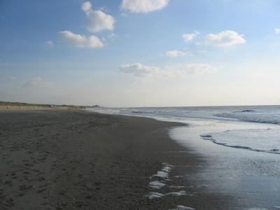 het strand