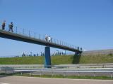 146_4662.JPG