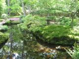 147_4774.JPG