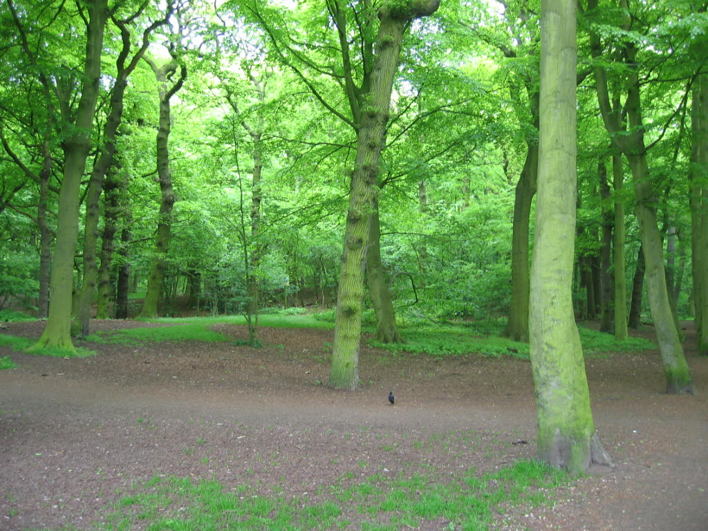 147_4767.JPG