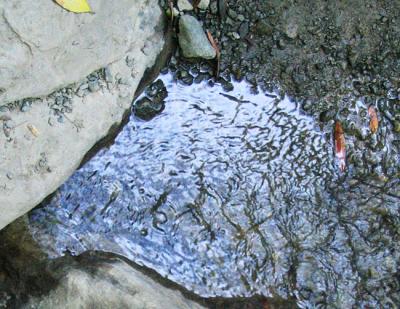 Small Pool