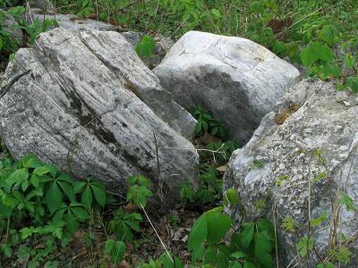Rocks