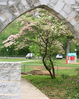 Through the Arch