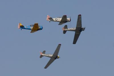 u26/marauder61/medium/43951576.AAFO_Minter003.jpg.jpg