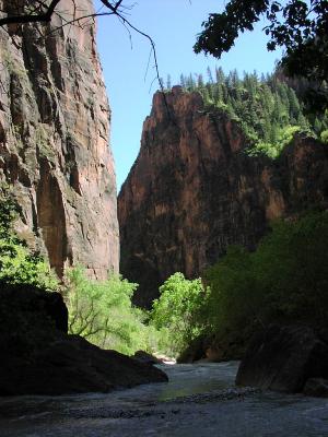 may11-Zion Canyon - Virgin River