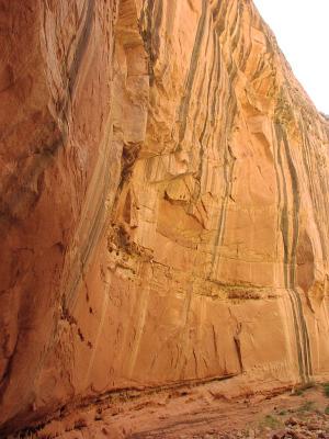 may17-Capitol Reef gorge