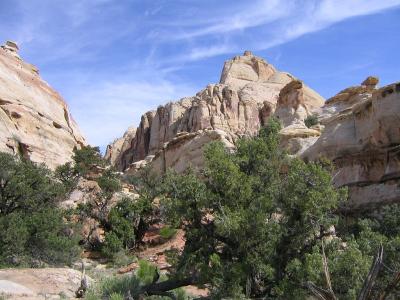 may18-Capitol Reef view