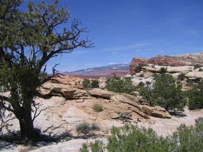 The Parks of Southern Utah