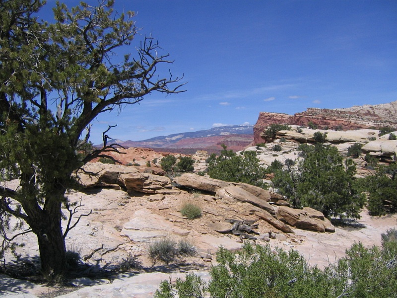 may18-Capitol Reef hike