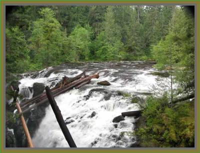 Englishman River Falls.