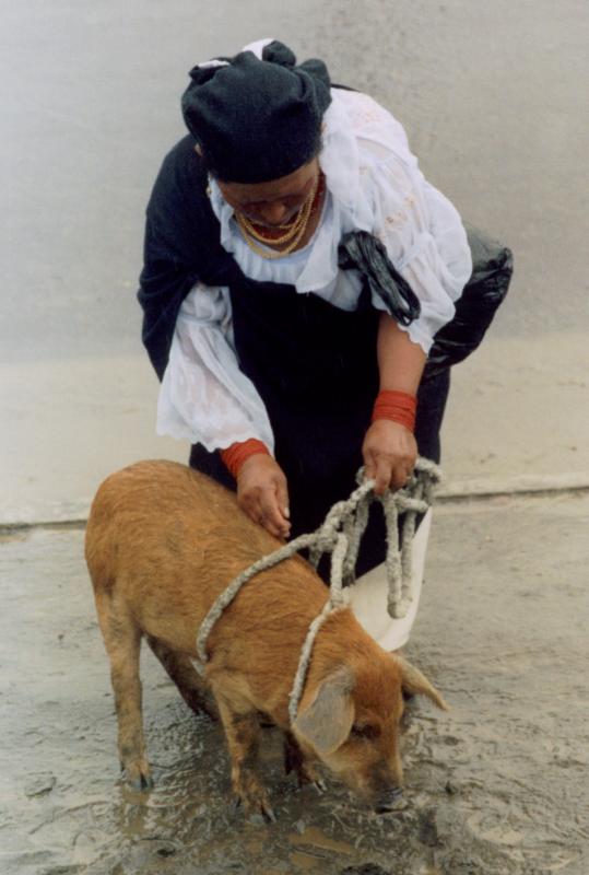 Leash Adjustment