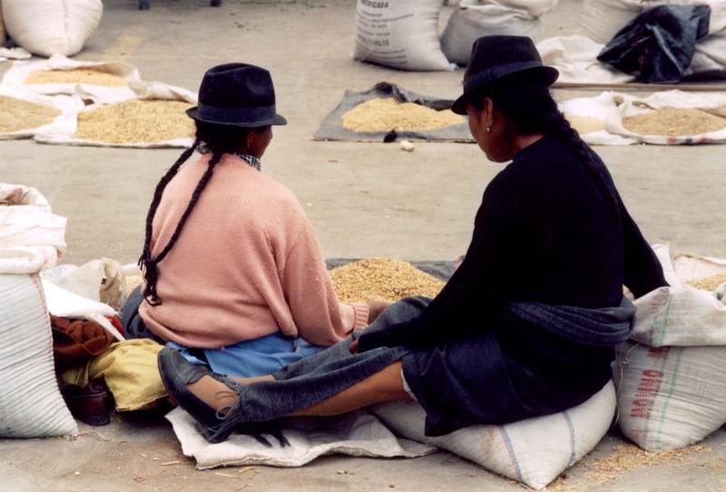 Grains and Braids