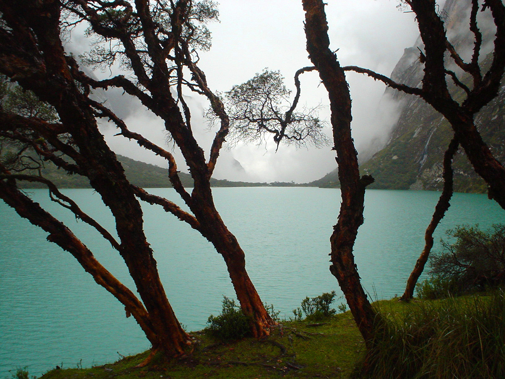 Ghostly Shore