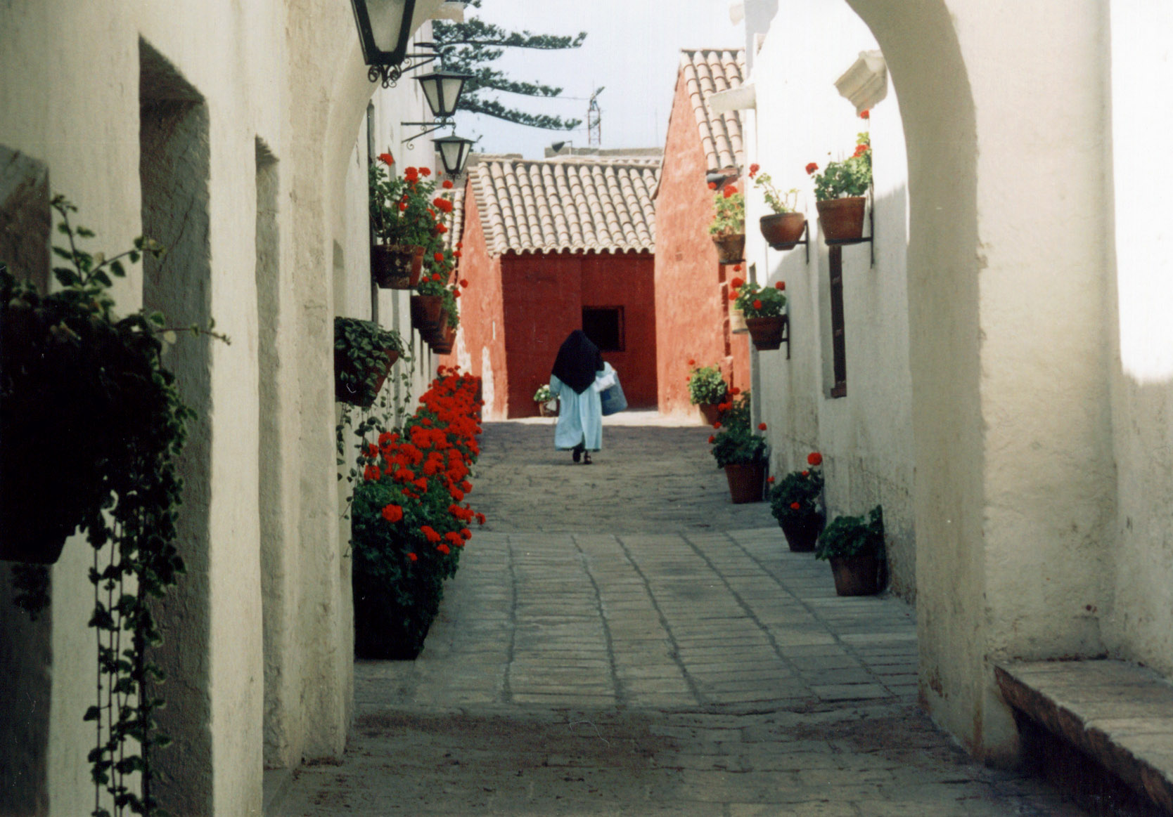 Silent Steps