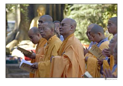 budh0503.jpg