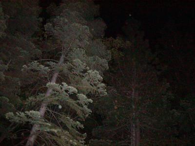 P7120630.JPG