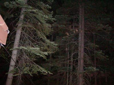 P7120631.JPG