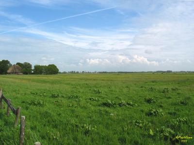 View on Heemskerk, border Castricum