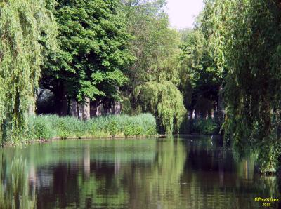 Small Pond in Castricum