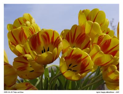 u26/max_at_home/medium/43834104.Pro1_RW_2359.jpg
