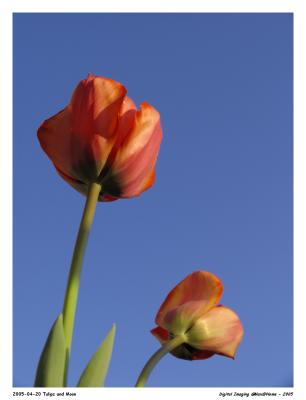 u26/max_at_home/medium/43834109.Pro1_RW_2394.jpg