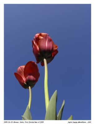 u26/max_at_home/medium/43834110.Pro1_RW_2438.jpg