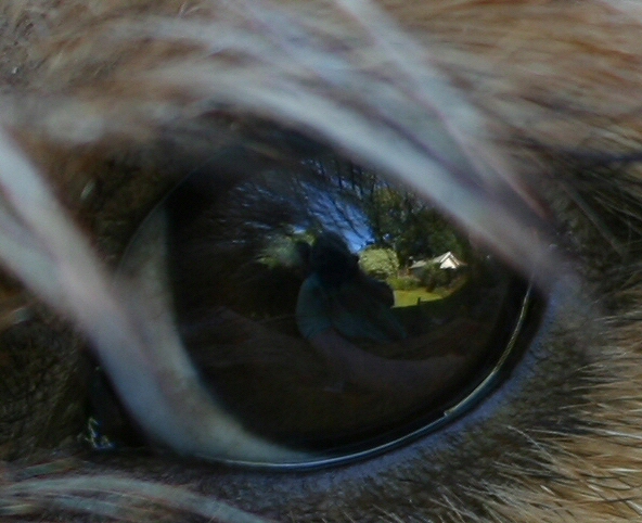Inside Tuckers eye