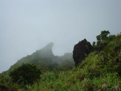DSC06170.jpg