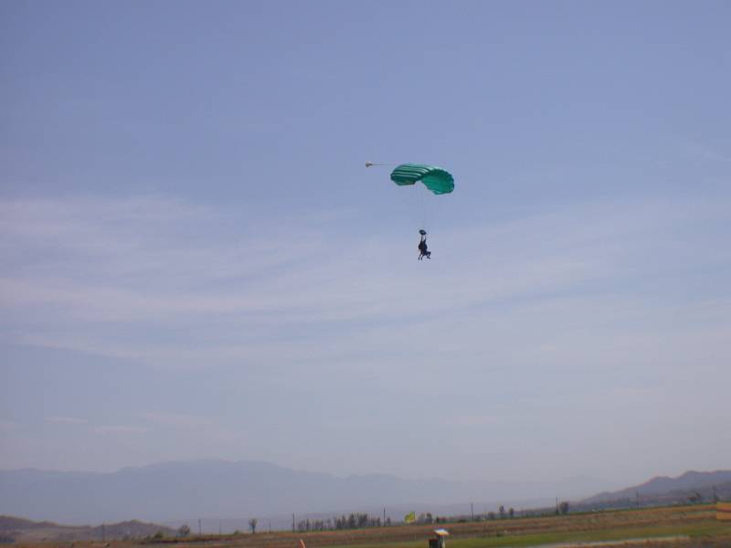 DSCN0982.jpg