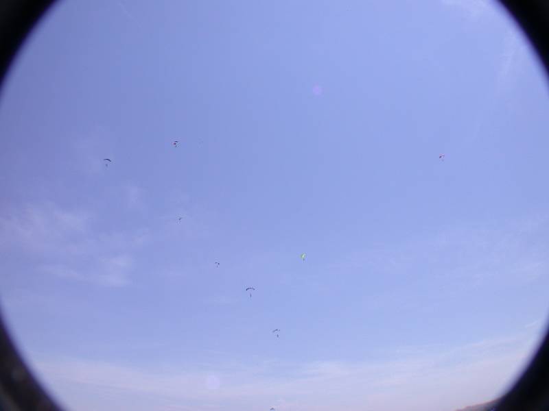 DSCN1016.jpg