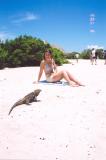 015Cayo Macho and an iguana.jpg
