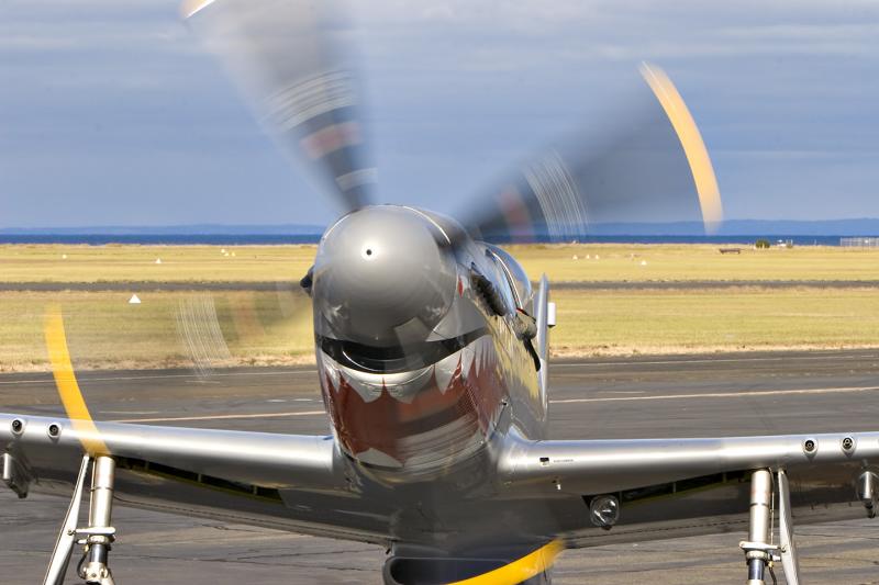 CA18-Mustang-Closeup.jpg