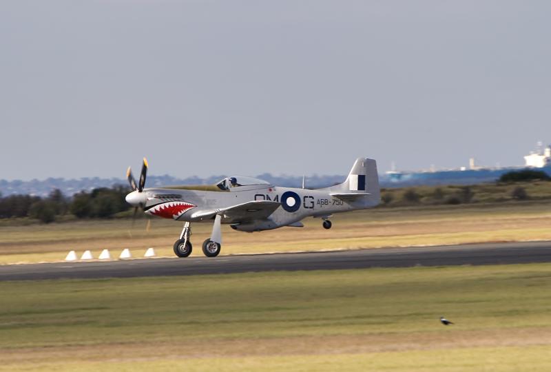 Mustang-Rolling.jpg