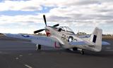 CA18-Mustang-Home.jpg